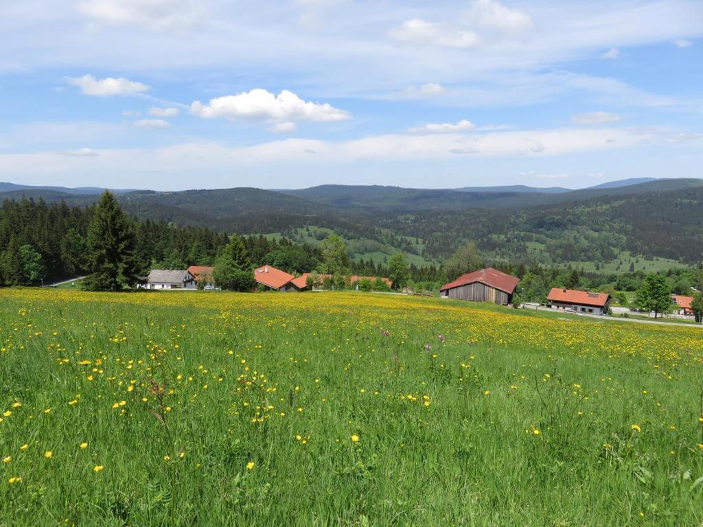 Apartment 2 Mitterdorf Philippsreut